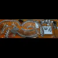 سرویس قاشق چنگال۱۴۴پارچه۲۴نفره یونیک اصل،اروپایی|ظروف سرو و پذیرایی|قم, شهرک فاطمیه|دیوار