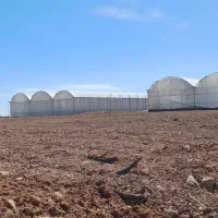 زمین-گلخانه-ای