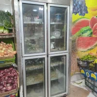فریزر|فروشگاه و مغازه|اهواز, زیتون کارمندی|دیوار