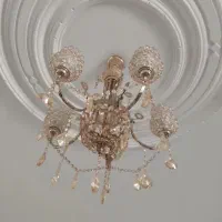 لوستر پذیرایی