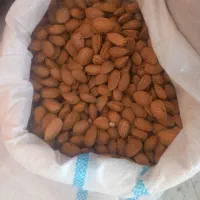 بادام درختی