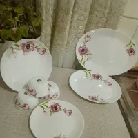 سرویس غذاخوری آرکوپال مارک فرانسوا ۲۴ نفره|ظروف سرو و پذیرایی|دورود, |دیوار