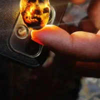 شجر فسا و قاعنات|جواهرات|فسا, |دیوار