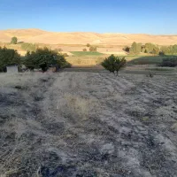 یک هکتارو نیم زمین آبی