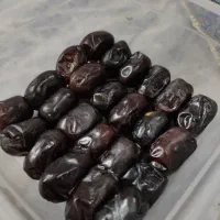 فروش خرما درجه یک