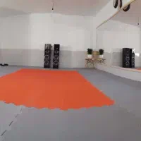 استخدام مربی رزمی خانم