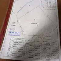 زمین باغ حدود 1000متر/تنکابن/تهاتربا ملک تهران کرج