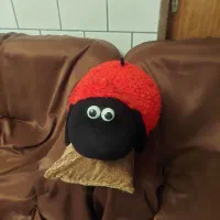 عروسک در حد نو|اسباببازی بچه|کیش, |دیوار