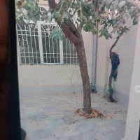 فروش خانه ویلایی آخر بلوار اقانجفی|فروش خانه و ویلا|قوچان, |دیوار