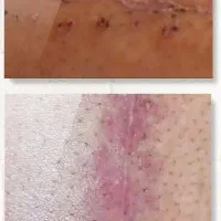 محصولات شرکت نیوشانیک