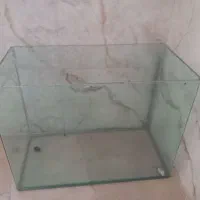 آکواریوم  با تمام وسایل|ماهی|پاکدشت, پاکدشت (مامازند)|دیوار