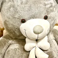 عروسک خرسی دومتری