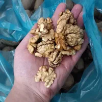 گردو کاغذی