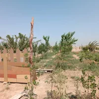 قطعات زمین وباغچه ۴۰۸متری اسلامشهر  چیچکلو|فروش دفتر صنعتی، کشاورزی، تجاری|اسلام‌شهر, شهرک صنعتی چیچکلو|دیوار