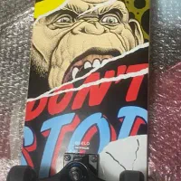 اسکیت برد|تجهیزات ورزشی|شیراز, اصلاحنژاد|دیوار