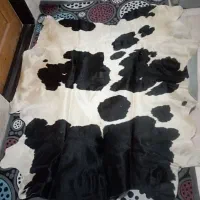 پوست گاو طبیعی|فرش|نسیمشهر, |دیوار