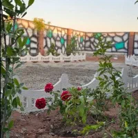 باغچه ۱۸۰ متری .زمین چار دیواری.سند دار|فروش زمین و ملک کلنگی|رباطکریم, رباطکریم|دیوار