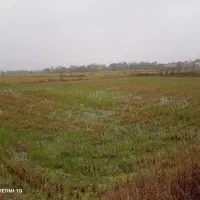 زمین شالی|فروش دفتر صنعتی، کشاورزی، تجاری|رانکوه, |دیوار