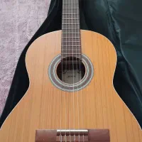 گیتار ام ۵ پارسیان