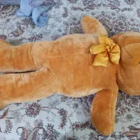 عروسک خرسی|اسباب‌بازی بچه|گلبهار, نوبهار|دیوار