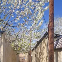 کانال گلشهریهای مشهد در روبیکا