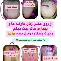 زبان شناسی