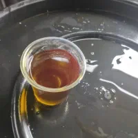 روغن زیتون اصل طارم با بهترین کیفیت