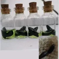 مهره پاکستانی اصل وارداتی به شرط کمیاب