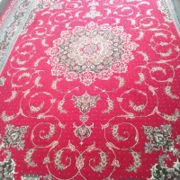 قالی ۱۲ متری|فرش|کازرون, |دیوار