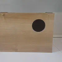 لانه عروس هلندی و طوطی سانان