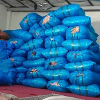 پخش عمده دنیای لباس تاناکورا در ایران