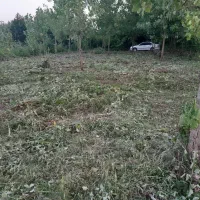 زمین مسکونی داخل بافت آماده ساخت|فروش زمین و ملک کلنگی|هشتگرد, گلسار|دیوار