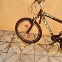 دوچرخه|دوچرخه، اسکیت، اسکوتر|اسلامیه, |دیوار