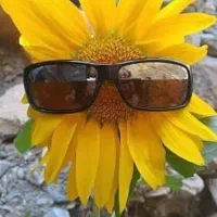۳ساعت اب باغ انگور بهشت فضل