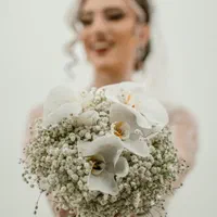 عکاسی عقد،عروسی،تولد/کلیپ،فیلم برداری|خدمات پذیرایی، مراسم|تهران, دریاچه شهدای خلیج فارس|دیوار