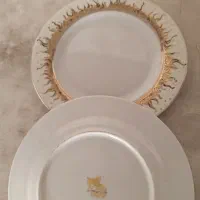 سرویس پذیرایی ۱۸ نفره و بشقاب میوه خوری