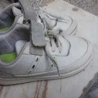 کتونی اسپرت