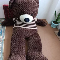 خرس|اسباب‌بازی بچه|بجنورد, |دیوار