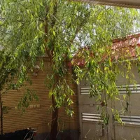 رهن و اجاره همکف راه مشترک|اجارهٔ آپارتمان|اصفهان, لنبان|دیوار