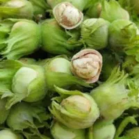 فندق درجه یک مغز پر و پر چرب