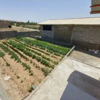 فارم ماینر ماینینگ بیتکوین استخراج ارز دیجیتال|فروش دفتر صنعتی، کشاورزی، تجاری|زنجان, |دیوار