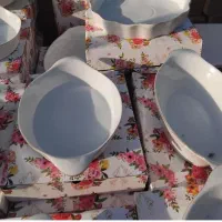 ظروف چینی