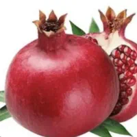 انار شاهدیه