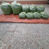 سبزی اشی مخصوص ..اش،وحلیمی تره خالی،در بسته های|خوردنی و آشامیدنی|کیانشهر, |دیوار