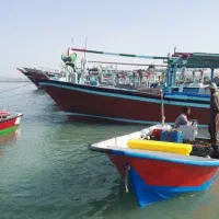 گول ومجوز صیادی