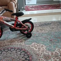 دو عدد قالی 12متری