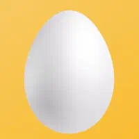 جوجه مرغ مینا