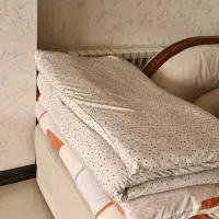 واگذاری رایگان دو عدد تشک سالم و تمیز