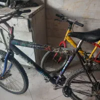 دوچرخه|دوچرخه، اسکیت، اسکوتر|قم, دروازه چوبی|دیوار