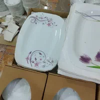 آرکوپال|ظروف سرو و پذیرایی|زاهدان, |دیوار